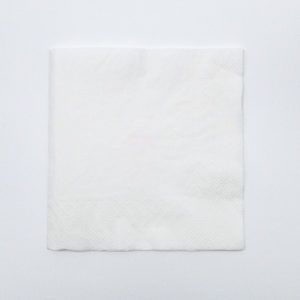 13 x 13 Inch Custom Napkins (2 Color Design)