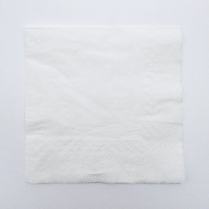 16 x 16 Inch Custom Napkins (2 Color Design)
